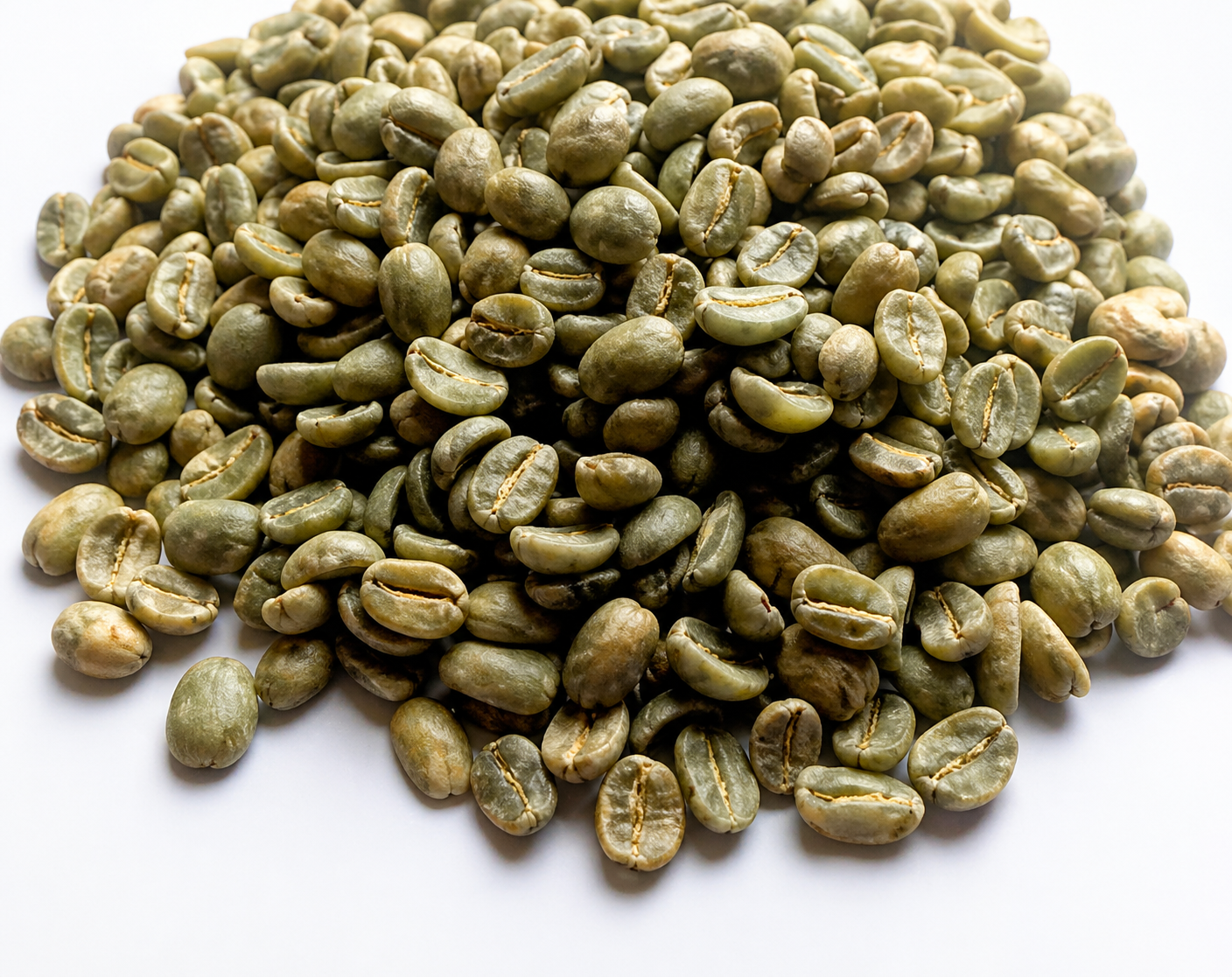 Robusta Type 7
